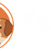 mini dachshund puppies for sale