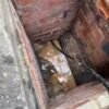 Drain Unblocking | Jetting | Cleaning